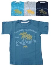 REMERA MANGA CORTA DE ALGODON ESTAMPADO CALIFORNIA PARA NENE CHEITO