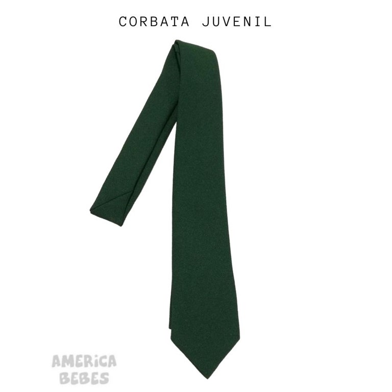 Corbata ceolon verde Juvenil colegial.