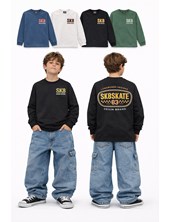 REMERA  PARA NENE MANGA LARGA, ESTAMPA FRONTAL Y ESPALDA 'SK8SKATE'. FLIRTY