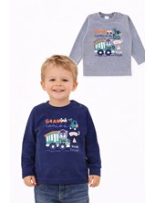 Remera manga larga, estampa Grúa camion, para bebe. Rimbi