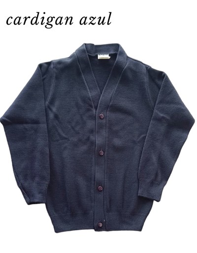 A450 CARDIGAN ESCOTE EN V AZUL. AJB