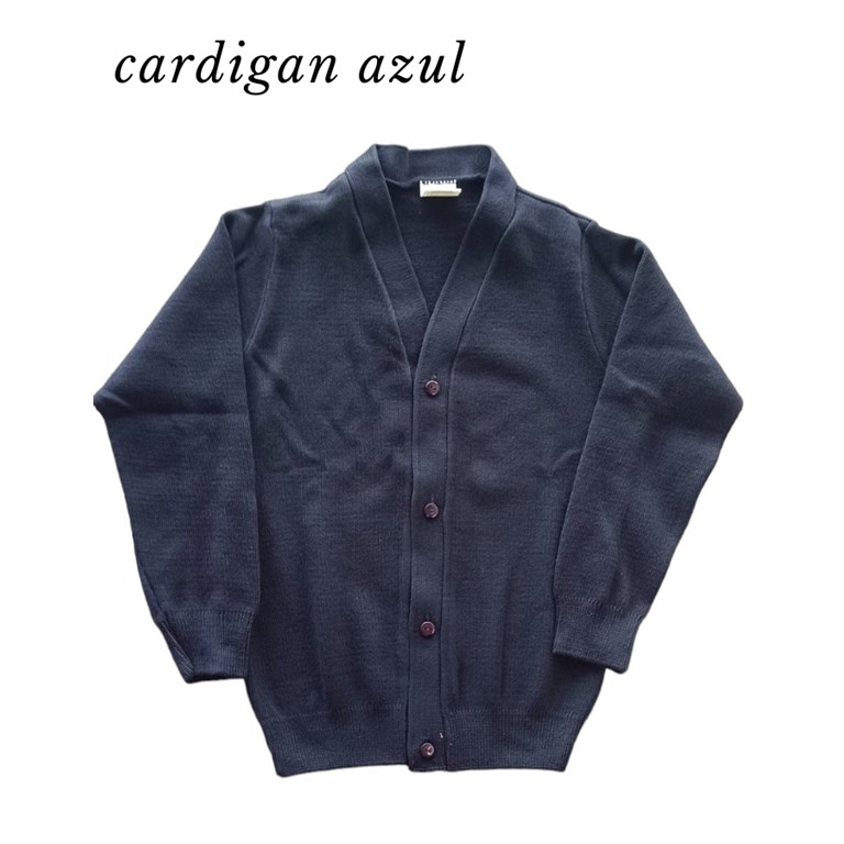 A450 CARDIGAN ESCOTE EN V AZUL AJB