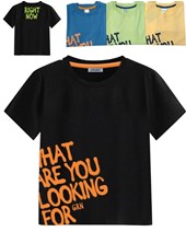 REMERA MANGA CORTA NENE ESTAMPA 'WHAT ARE YOU LOOKING FOR'. GRUNY