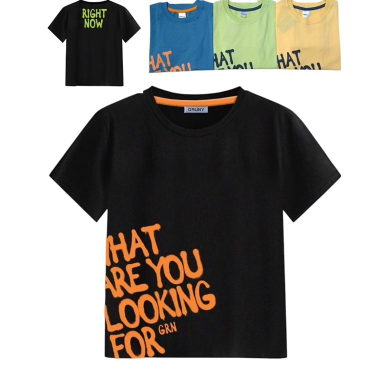 REMERA MANGA CORTA NENE ESTAMPA 'WHAT ARE YOU LOOKING FOR'. GRUNY