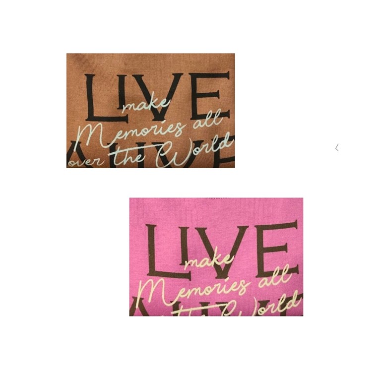BUZO DE FRIZA CUELLO REDONDO ESTAMPA 'LIVE ALIVE'. GRUNY