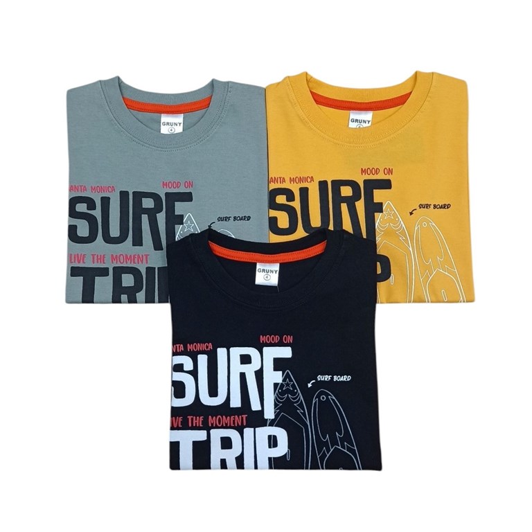 REMERA MANGA CORTA PARA NIÑO ESTAMPA ' SURF TRIP'. GRUNY