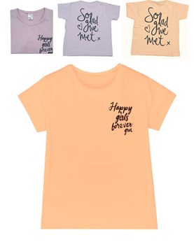 REMERA NNA MANGA CORTA ESTAMPA GRENTE Y ESPALDA. GRUNY