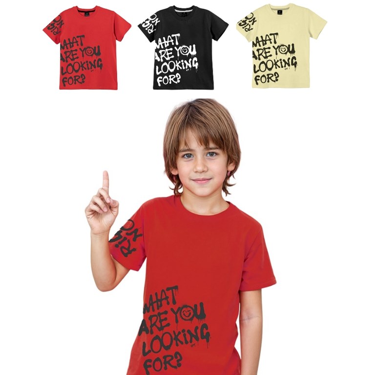 Remera nene con estampa manga y frente 'what are you looking for?' Gepetto