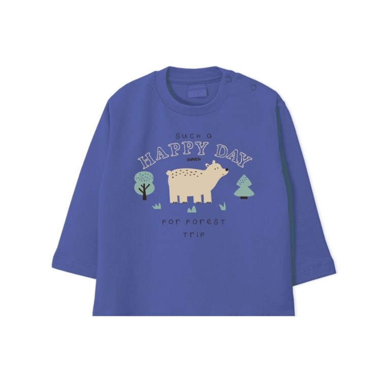 REMERA MANGA LARGA DE BEBE ESTAMPADA COLORES SURTIDOS GEPETTO