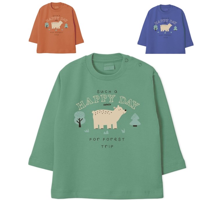REMERA MANGA LARGA DE BEBE ESTAMPADA COLORES SURTIDOS GEPETTO
