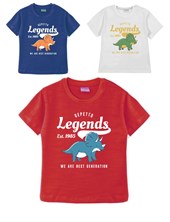 Remera bebe varon flame con estampa legends