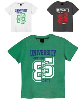 Remera junior varón c/estampa 'university' gepetto