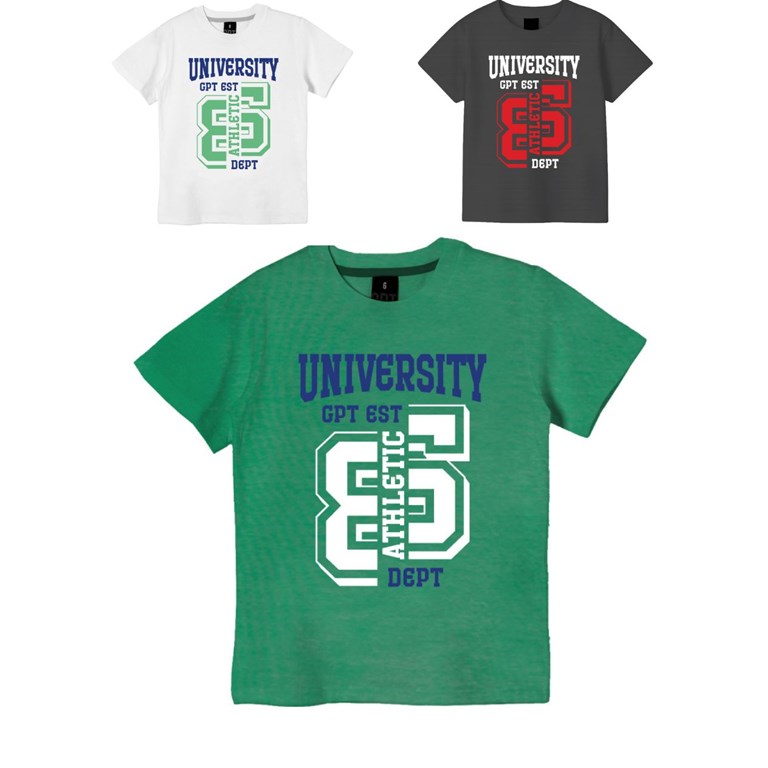 Remera junior varón c/estampa 'university' gepetto