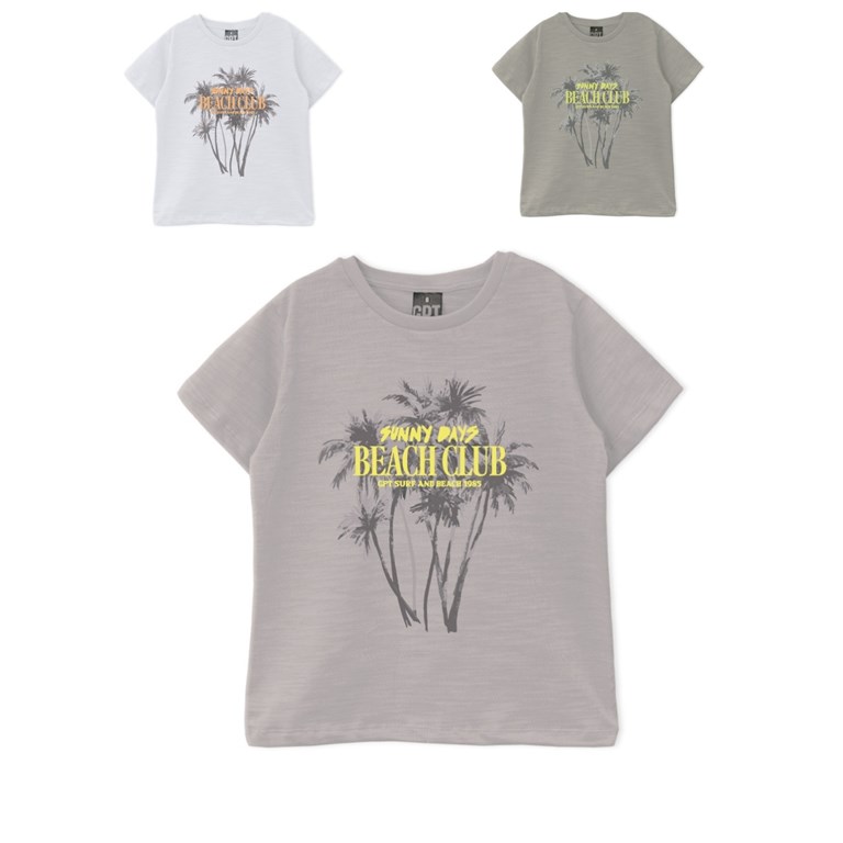 Remera junior varón flamé oversize c/estampa 'beach club'. gepetto