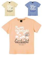 Remera junior  varón c/estampa 'palms paradiso'. gepetto