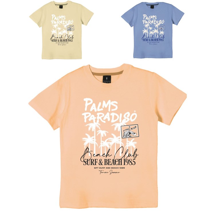 Remera junior varón c/estampa 'palms paradiso'. gepetto