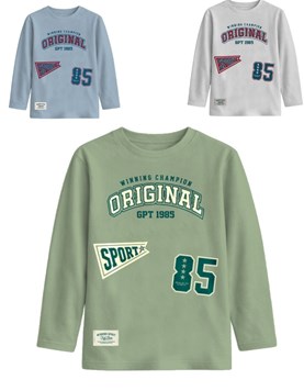 Remera junior varón con estampa college.Gepetto