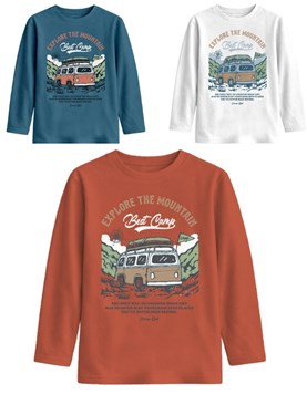 Remera junior varón con estampa combi.Gepetto
