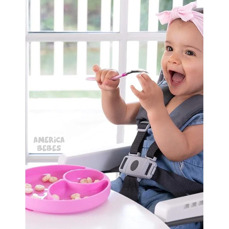 PLATO SILICONA CON DIVISIONES ROSA 12 MESES + CHICCO