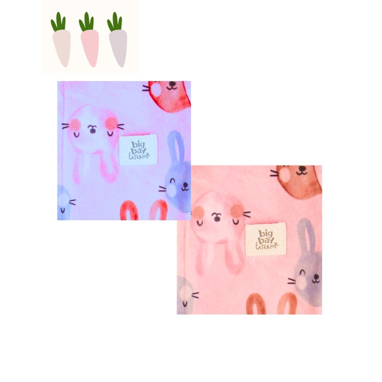 VESTIDO BEBA DE PLUSH ESTAMAPADO CONEJOS. BIG BAY