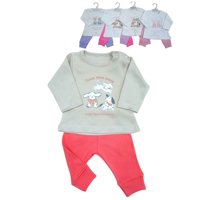 Conjunto de camiseta en interlock liso con estampa central y ranita pantalon de morley colores de nena dreams