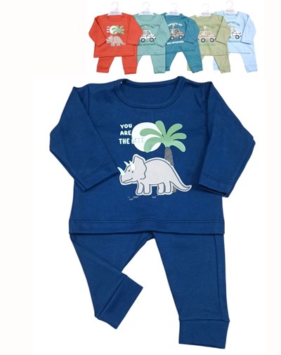Conjunto de camiseta en interlock liso con estampa central colores de varon dreams
