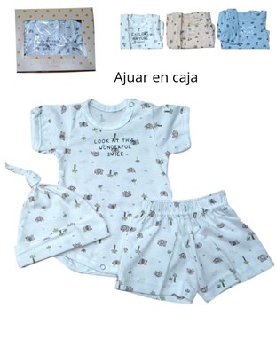 Set 4 piezas, body estampado central, con manta, gorro y ranita en interlock desagujado,nena y varón. Dreams
