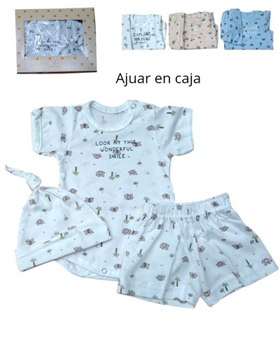 Set 4 piezas, body estampado central, con manta, gorro y ranita en interlock desagujado,nena y varón. Dreams