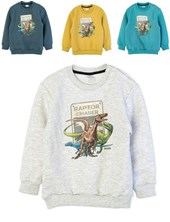 BUZO PARA BEBE DE FRISA ESTAMPA DINO. RUABEL