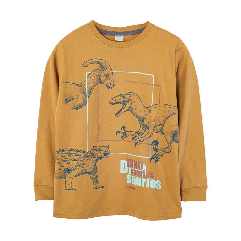 Remera nene con estampa dinos. Ruabel