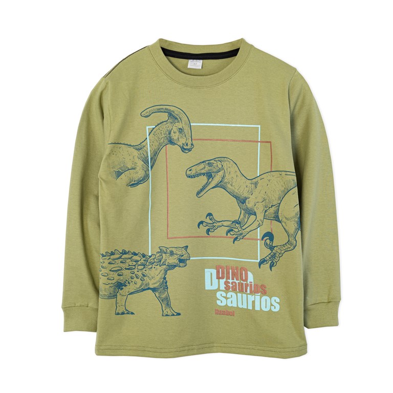 Remera nene con estampa dinos. Ruabel