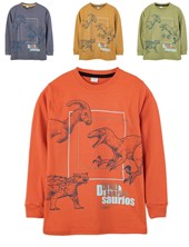 Remera nene con estampa dinos. Ruabel