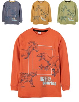 Remera nene con estampa dinos. Ruabel