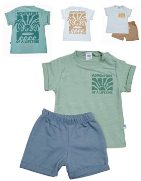 CONJUNTO PALMERA. YABY