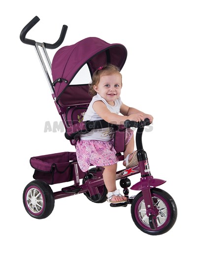 TRICICLO CONFORT BORDO CON ASIENTO GIRATORIO 360° BIEMME