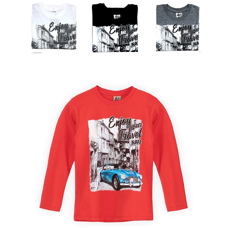 Remera M/L nene auto. Colores surtidos. Wild Cherry