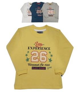 REMERA MANGA LARGA PARA BEBE VARON ESTAMPADA SKATES GRUNY